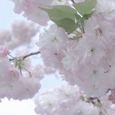 Furry黑白线稿绘画教程兽圈社群